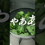 元高級ホテル料理人が教える、”最強副菜”ほうれん草バターソテーの作り方！