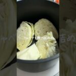 野菜ゴロゴロで大満足だよ🥰#ダイエット #ダイエットレシピ #ヘルシーレシピ #レシピ #ポトフ #スープ