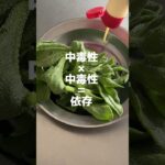 アイスプラントの育て方知りたい#野菜生活#ヘルシーレシピ #簡単料理 #ヘルシーフード#ダイエット食品 #アイスプラント#野菜