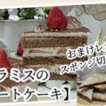 【初心者でもプロ級?!10分でわかるショートケーキレシピ🍰】ふわっふわ6号スポンジ🎂美味しくて綺麗な断面図✨テンポ良くわかりやすい🎶失敗しない💯最後におまけレシピ…スポンジの切れ端で簡単アレンジ🧑‍🍳