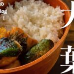 ＃13　[看護師旦那が出勤前に作るお弁当]　大葉チキンと紅生姜卵焼きレシピ