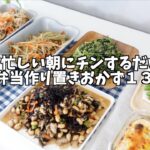 【冷凍お弁当おかず】作り置き13品|朝の時間を時短に!