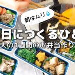 【1週間のお弁当作り】お弁当日記vlog #19｜1週間のお弁当｜前日に作る弁当｜手抜き｜作り置き｜簡単レシピ｜冷凍食品｜主婦2年生