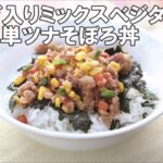23 08_簡単ツナそぼろ丼