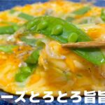 志麻さんレシピ【想像の3倍美味しい】シラスと春野菜のオムレツを作ってみました♪