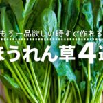 【すぐ作れる】レンジで簡単下茹で！ほうれん草の副菜レシピ4選