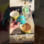 アラサー『ニート』が作るレンジしか使わない「親子丼」#ズボラ飯#ズボラ#ズボラ飯 #ニート #人気レシピ #料理asmr #簡単 #親子丼