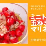[簡単]ミニトマト大量消費レシピ❣️野菜を食べよう！ミニトマトと玉ねぎのマリネ#料理#cooking
