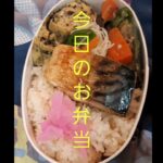 【弁当作り】#short #塩鯖弁当 #玉子焼きレシピ #魚と野菜で満足弁当 #旦那弁当