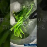 【暇な料理人】これが出来れば副菜に困らない！？『ほうれん草のごま和え』#shorts #暇な料理人の週末料理 #ダイエットレシピ #ヘルシーレシピ #ほうれん草  #ごま #和え物 #和食 #副菜