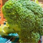 【ブロッコリー レシピ】栄養満点!簡単で美味しい副菜レシピ4選!お弁当にも是非 洗い方切り方も掲載