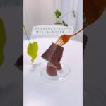 リクエスト受付中🫠💭#シフォンケーキ #シフォンケーキ作り #ダイエットケーキ #痩せるレシピ #ダイエットレシピ #ヘルシーレシピ #ヘルシースイーツ #ダイエットスイーツ #痩せるスイーツ