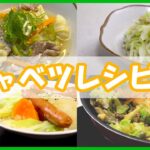 【キャベツレシピ集】無限キャベツ/豚肉の香味ニンニクスープ/たっぷり野菜とソーセージのポトフ/ひき肉とキャベツの卵炒め
