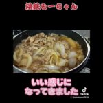 桃鉄もーちゃん  今夜は簡単牛丼の巻#簡単レシピ #晩御飯 #牛丼#創味のたれ #すき焼きのタレ #とろけるチーズ #チーズ牛丼