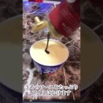 【感動】最強に美味くて簡単に作れるスイーツのレシピ#スイーツ#美味しい#レシピ