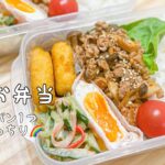 簡単おかずでいつものお弁当作り【タッパー弁当】