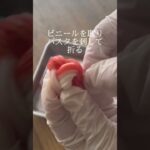 【お弁当】カニカマの水引き結び玉風