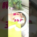 🐷さち家の豚丼#豚丼#料理研究会 #料理教室 #アレンジレシピ