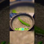 お弁当ってどんなだったけ😅 #こどものいる暮らし #日常vlog #育児日記 #こどもがよろこぶ #キャラ弁 #毎日弁当 #幼稚園のお弁当 #幼稚園生 #ズボラ主婦 #簡単レシピ