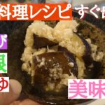 【簡単料理レシピ】ナスと大根と麺つゆがあれば出来る!お父さんも涙した美味しい1品料理(男飯)ひとりごはん