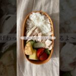 #112 彩りましまし久々お弁当/#shorts #曲げわっぱ