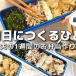 【1週間のお弁当作り】お弁当日記vlog #22|1週間のお弁当|前日に作る弁当|手抜き|作り置き|簡単レシピ|冷凍食品|主婦2年生