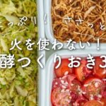 【火を使わない、簡単】野菜の発酵つくりおき3選