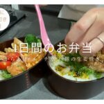 【お弁当作り㉒】お惣菜も使って楽して4日間のお弁当🕊️簡単レシピ付き/鶏の唐揚げ/アヒージョ/メンチカツ/豚の生姜焼き/旦那弁当/曲げわっぱ/共働き夫婦