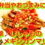 ★レシピ動画★お弁当やおつまみにも🍺簡単♪ししゃものメキシカンマリネ★【hirokoh(ひろこぉ)のおだいどこ】