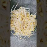 豆もやし大量消費レシピ❤️野菜をたーっぷり食べて欲しいの💕 #お料理動画 #簡単レシピ #japanesefood #もやし
