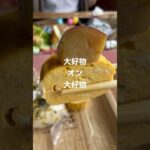 ピクニック🧺#卵焼き#さつまいもスイーツ #さつまいも#ピクニック#弁当#手作り#手作りごはん #ご飯#レシピ#弁当箱 #弁当男子 #公園#ランチ #コンビニスイーツ #甘党 #shorts