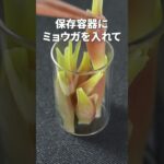 ピンク色がキレイなすっきり副菜◎ミョウガのピクルス【今日のあと一品】【副菜レシピ】 #shorts
