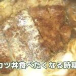 帰ってすぐかつ丼