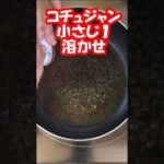 [簡単節約やみつきレシピ] 冷たいピリ辛こんにゃく冷麺風味