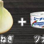 新玉ねぎとツナ缶で作る簡単レシピ【新玉ねぎのサラダ】箸が止まらない絶品おかずの作り方/新玉ねぎレシピツナ缶レシピ/作り置きおかず/お弁当おかず【あさごはんチャンネル】