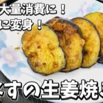 【簡単レシピ】なすがご馳走に変身！大量消費に『なすの生姜焼き』