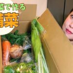 【簡単レシピ】徳島の野菜を使って超簡単‼️常備菜作ってみた👩🏻🍳