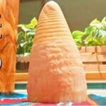 【たけのこ レシピ】おうちで簡単『おとなメンマ』レシピ　おつまみにも最適♪