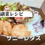簡単お弁当の副菜/サニーレタスレシピ/1品弁当
