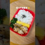 15分弁当だお(^ω^) #お弁当 #ずぼら飯 #ひとりごはん #自炊 #vlog #毎日弁当 #簡単レシピ #ずぼら弁当