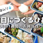 【1週間のお弁当作り】お弁当日記vlog #24|1週間のお弁当|前日に作る弁当|手抜き|作り置き|簡単レシピ|冷凍食品|主婦2年生