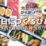 【1週間のお弁当作り】お弁当日記vlog #25｜1週間のお弁当｜前日に作る弁当｜手抜き｜作り置き｜簡単レシピ｜冷凍食品｜主婦2年生