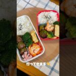 2人分のお弁当作ったよ🎶 #vlog #お弁当 #ずぼら飯 #自炊 #ひとりごはん #簡単レシピ #毎日弁当 #ピーマンの肉詰め #ガーリックシュリンプ