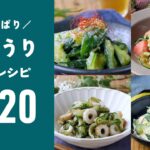 【人気！きゅうりレシピTOP20】さっぱりとした味わい！夏におすすめ副菜♪｜macaroni（マカロニ）