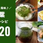 【大葉人気レシピTOP20】さっぱりとした味わい!アレンジいろいろ♪|macaroni(マカロニ)