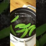 腸活にも良い「スナップエンドウの白あえ」レシピ #shortrecipe #shorts