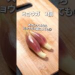 ごま油香るさっぱり副菜!ナスとミョウガのやみつき和え【今日のあと一品】【副菜レシピ】#shorts