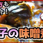【和のレシピ】なすの味噌煮 メインのおかずにもなる副菜レシピ！ご飯がとにかくすすむ！簡単レシピ
