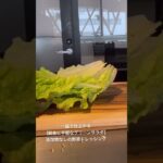 【朝食に手軽なグリーンサラダ】添加物なしの野菜ドレッシング旅先でも食事を整えてカラダをリセットしてくれるお皿で仕上げるサラダ　#助食師  #サラダレシピ　#野菜料理　#健康レシピ　#免疫力