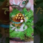 🍋さっぱりレモンのよだれ鶏#ヘルシー#鶏むね肉 #麺つゆ#アレンジレシピ#料理教室 #料理研究会